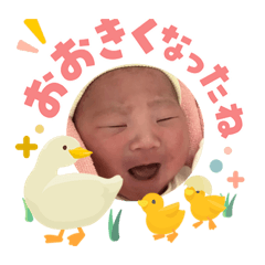 kotono_20260503120505