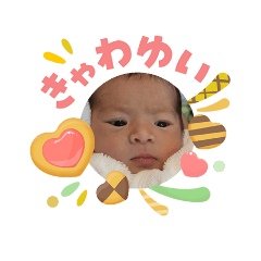 mio_202605