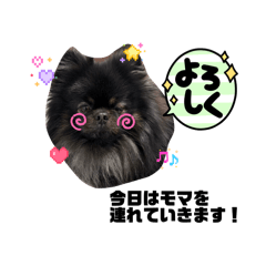 MIYU_20260502183802