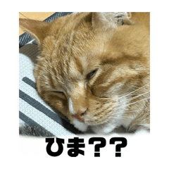miyaka_20260502184658