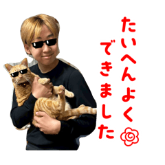 tanuki_sup_20260502185012