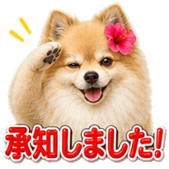 Pomeranian Everyday Use Stickers