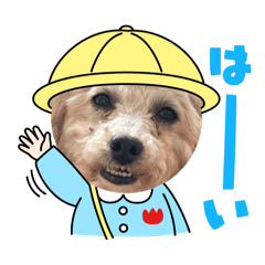 yumi_20260503095904