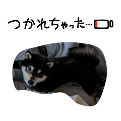 Sakamoto_20260503101909