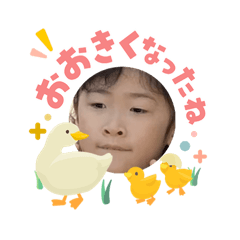 rkk_20260503102106