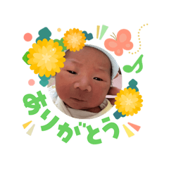 shiina_20260503102215