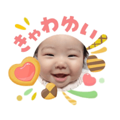 shiamero_20260503102201