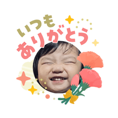 R_20260503102255
