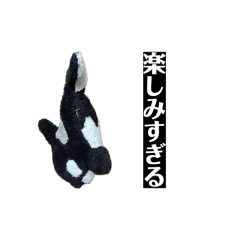 yomo_20260503112657