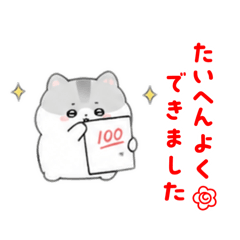 yamashikanai_20260503112558