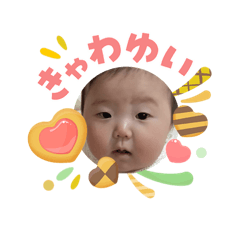 bayachi_2222220260503125045