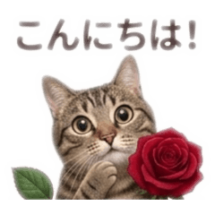 hanatoneko_20260503111740