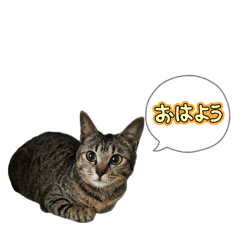 Yu_20260503124724