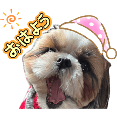 mamy_20260503125650
