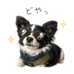 yuukooo_20260503125805