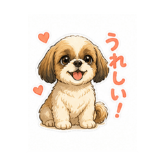 momomo_20260503125610
