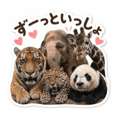 Taitai_20260503124757