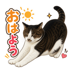 Nyanko Nameko