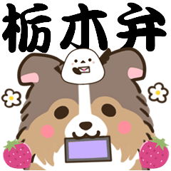 Sheruti & shimaenaga of Tochigi dialect