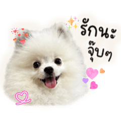 Tawan_20260428113918