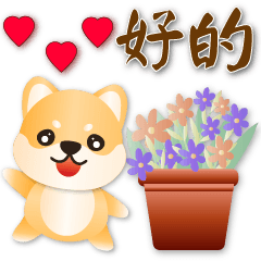 超實用*可愛柴犬*
