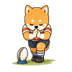 超可愛柴犬 運動篇4