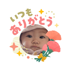 kohapapa_20260503103450