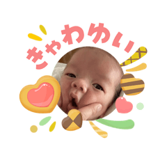 cinnaco_20260503103443
