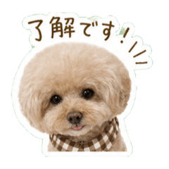 moco_20260503103450