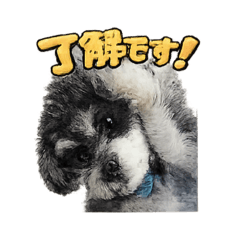 TKG_20260503104043