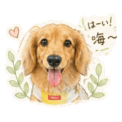 天使包仔