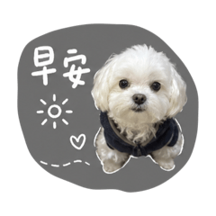 小小旺來
