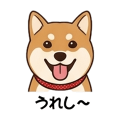 MIKA_20260502201327