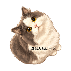 Luna_rinda_20260502201543
