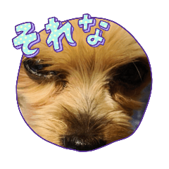 toto_20260503110434