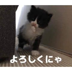 kaori._._20260502201716