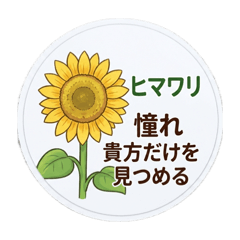 makry_20260503110955