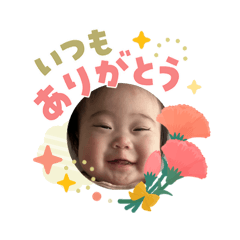 nori_20260503111300