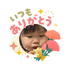 koko_20260503111447
