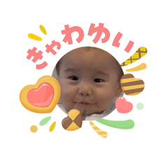 catcat_20260503135720