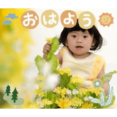 suiri 1