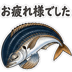 honorific Real horse mackerel