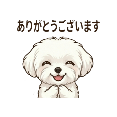 MofuPaw_20260504230225