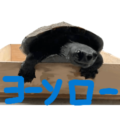 sou_20260503094506