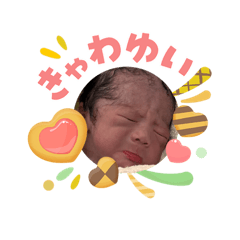 Tomo_20260503094532