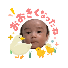 molldyyy_20260503100344