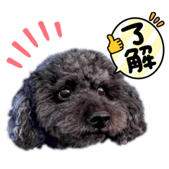 saya_20260503094009