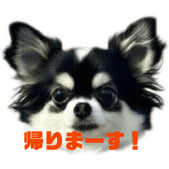 RIN_20260503115528
