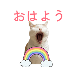 rinrin_20260503115442