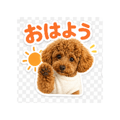 nao_20260503121935